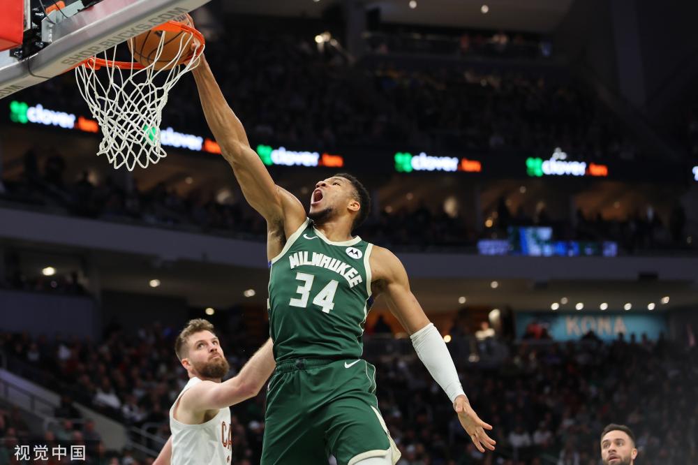 1年的雄鹿 1年的雄鹿